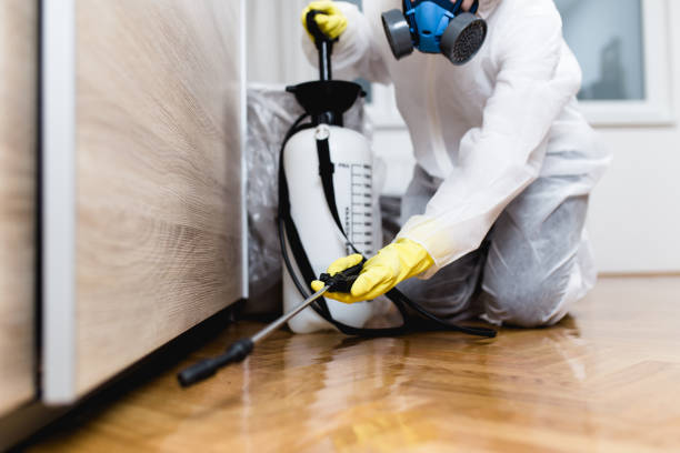 Trusted Mackinaw, IL Pest Control Experts