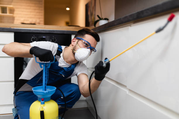 Best Rat Extermination Near Me  in Mackinaw, IL