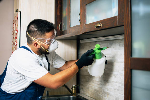 Best Affordable Pest Control Services  in Mackinaw, IL