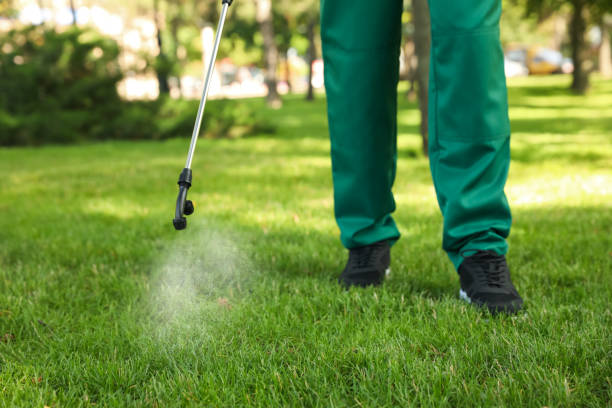 Professional Pest Control in Mackinaw, IL