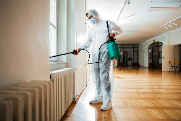 Best Pest Control Near Me in Mackinaw, IL