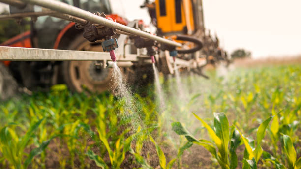 Best Pest Control for Homes  in Mackinaw, IL